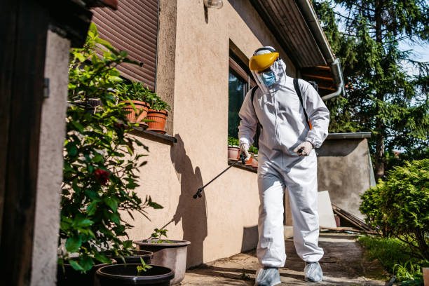 Best Cockroach Control Services  in Sumas, WA