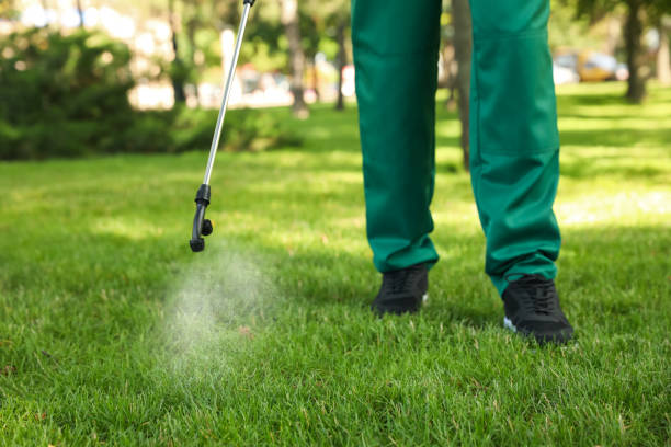 Wasp Removal Services in Sumas, WA