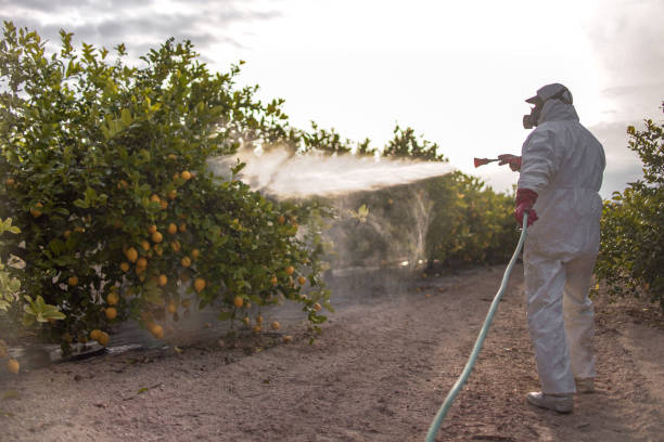 Best Pest Control Near Me in Sumas, WA