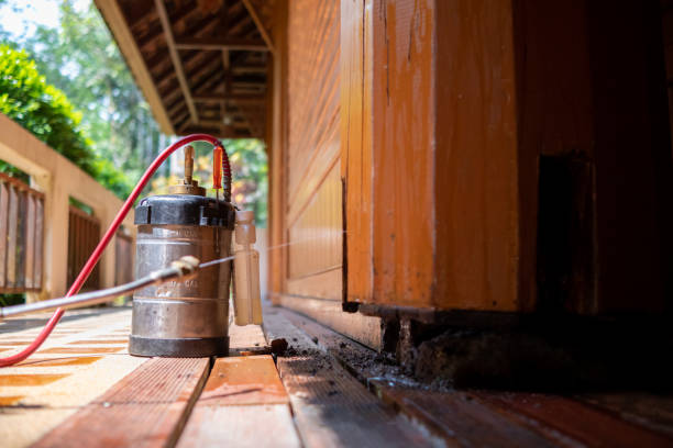 Best Best Pest Control Companies  in Sumas, WA