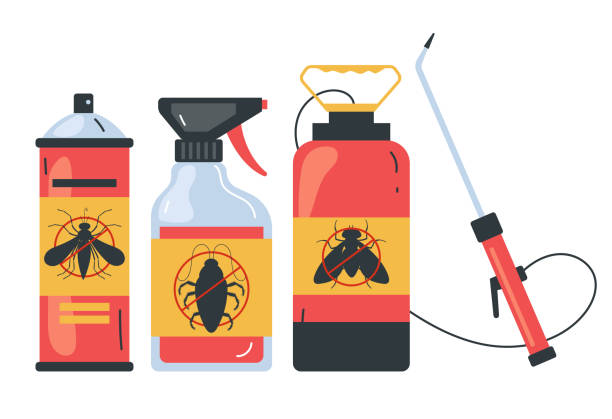 Best Wasp Removal Services  in Sumas, WA